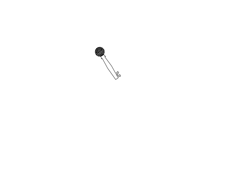 24WTTB-DC---AZ-Custom-Logo---Stacy-Eaton-white